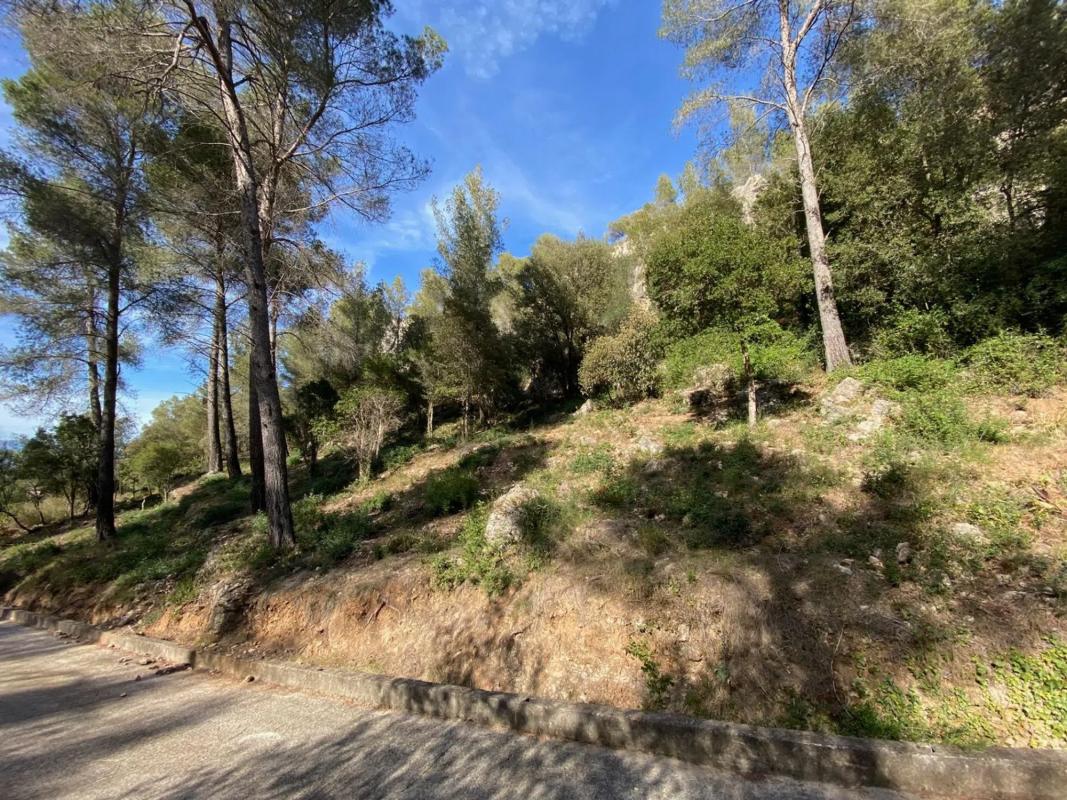 Działka na sprzedaż w Corbera de Llobregat, Barcelona photo 4