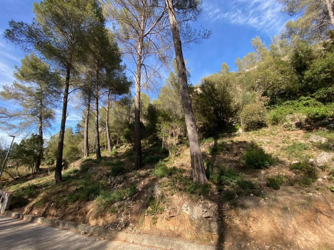 Działka na sprzedaż w Corbera de Llobregat, Barcelona photo 5