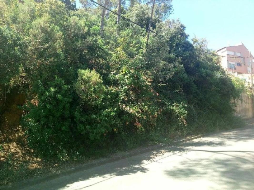 Terreno en venta en Cervelló, Barcelona photo 3