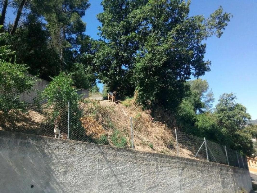 Terreno en venta en Cervelló, Barcelona photo 3