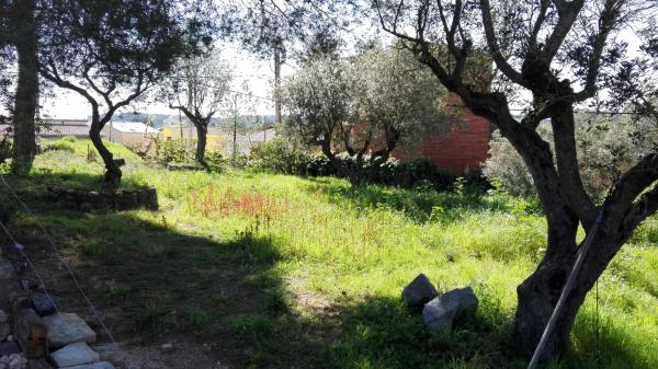 Terreno en avenida catalunya, 40 photo 4
