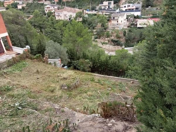 Terreno en paissos catalans, 50 photo 3