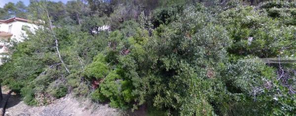 Terreno en Vallirana photo 3