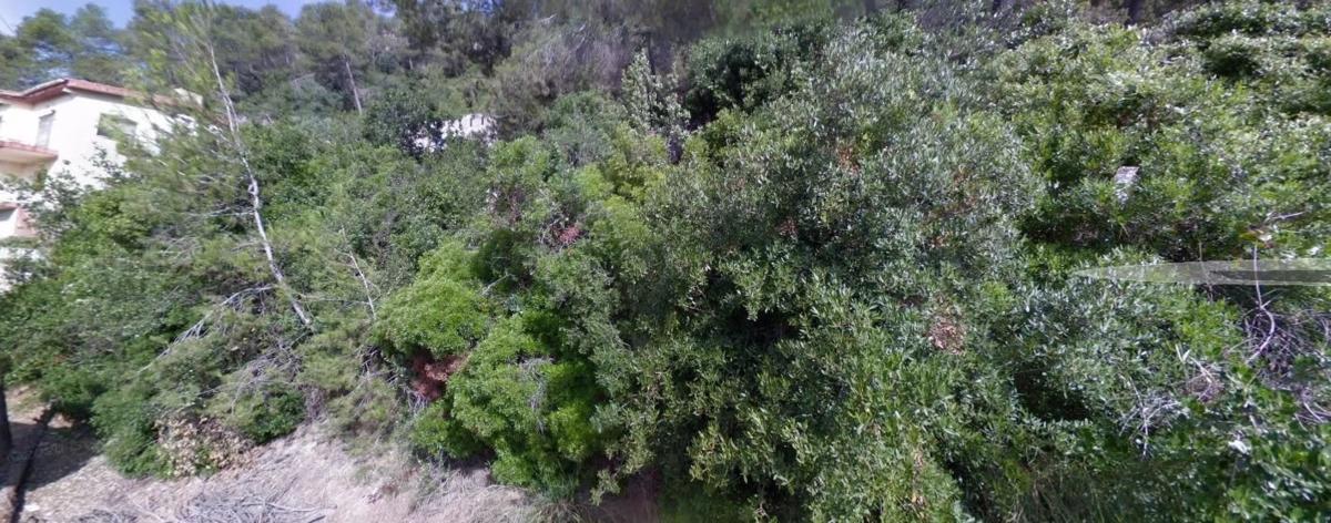 Terreno en venta en Vallirana, Barcelona photo 5