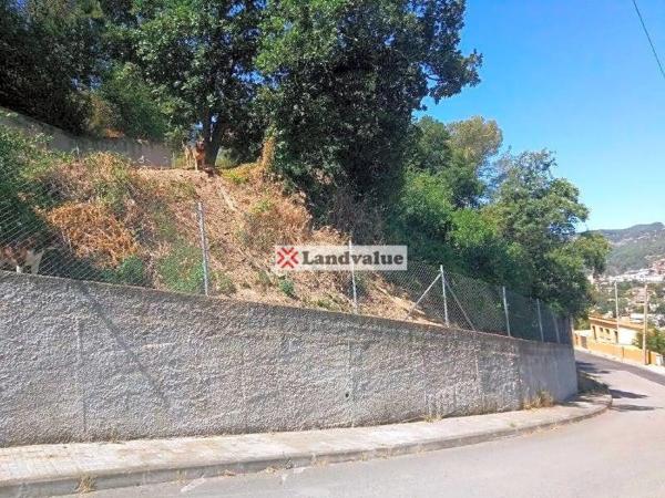 Terreno en calle Miquel Carbonell photo 2