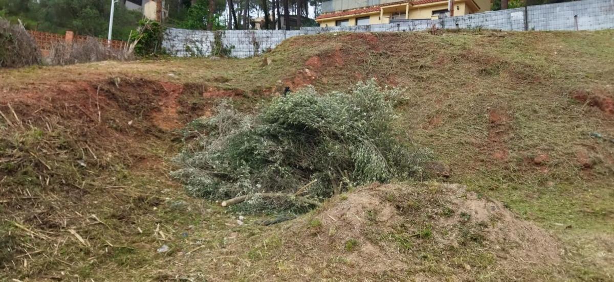 Terreno en venta en Castellví de Rosanes, Barcelona photo 5