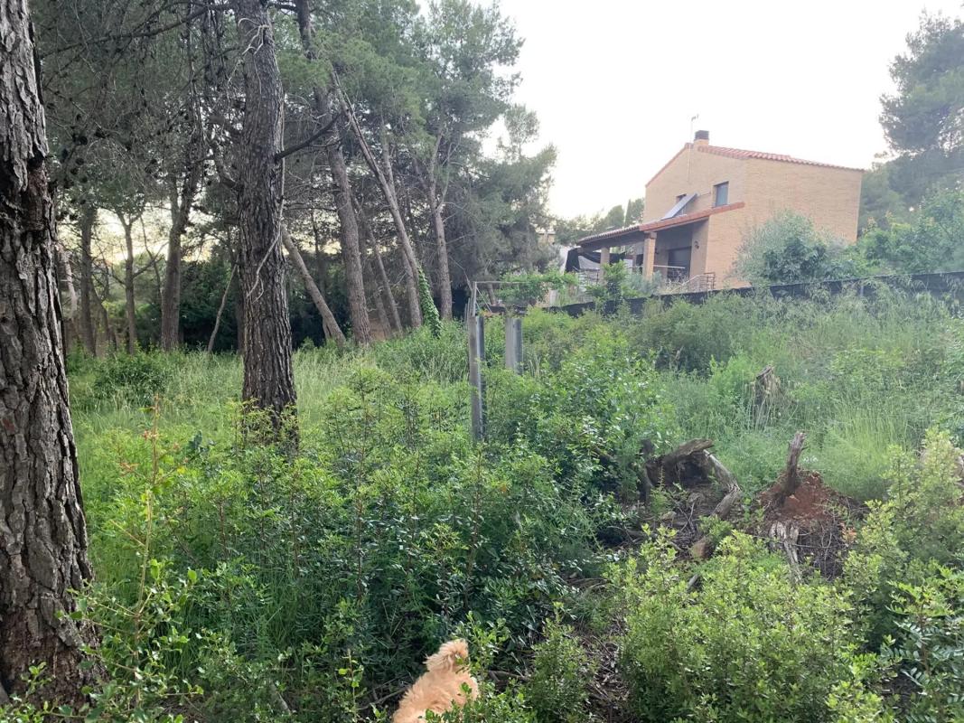Terreno en venta en Corbera de Llobregat, Barcelona photo 5