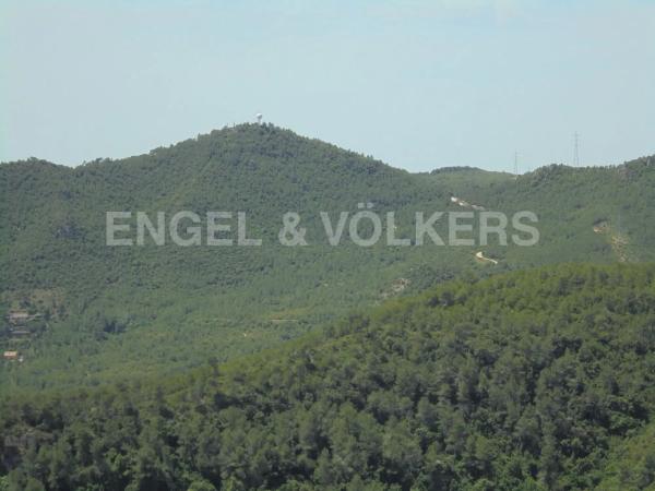 Terreno en camino Ral photo 2