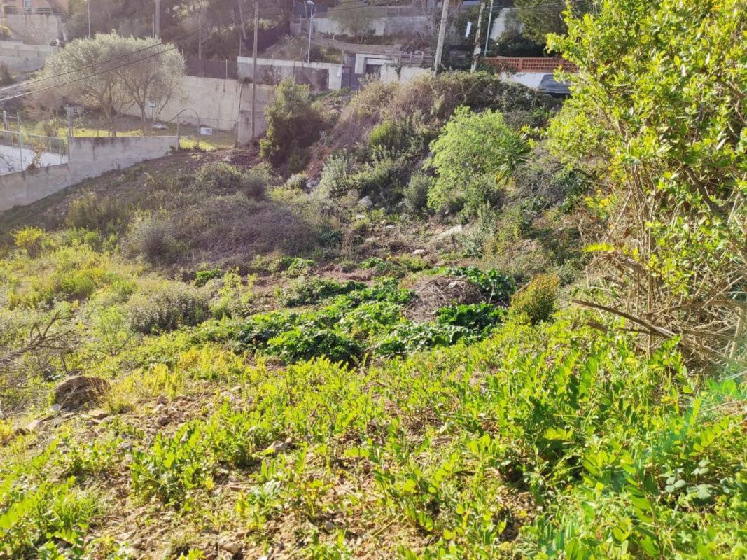 Terreno en venta en Corbera de Llobregat, Barcelona photo 3