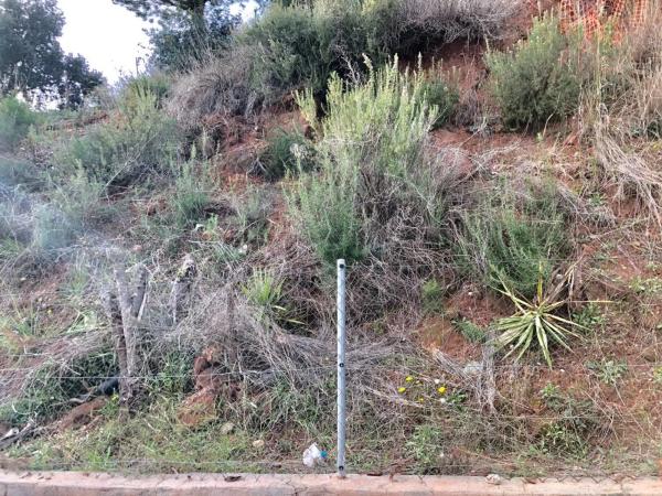 Terreno en Abrera photo 3