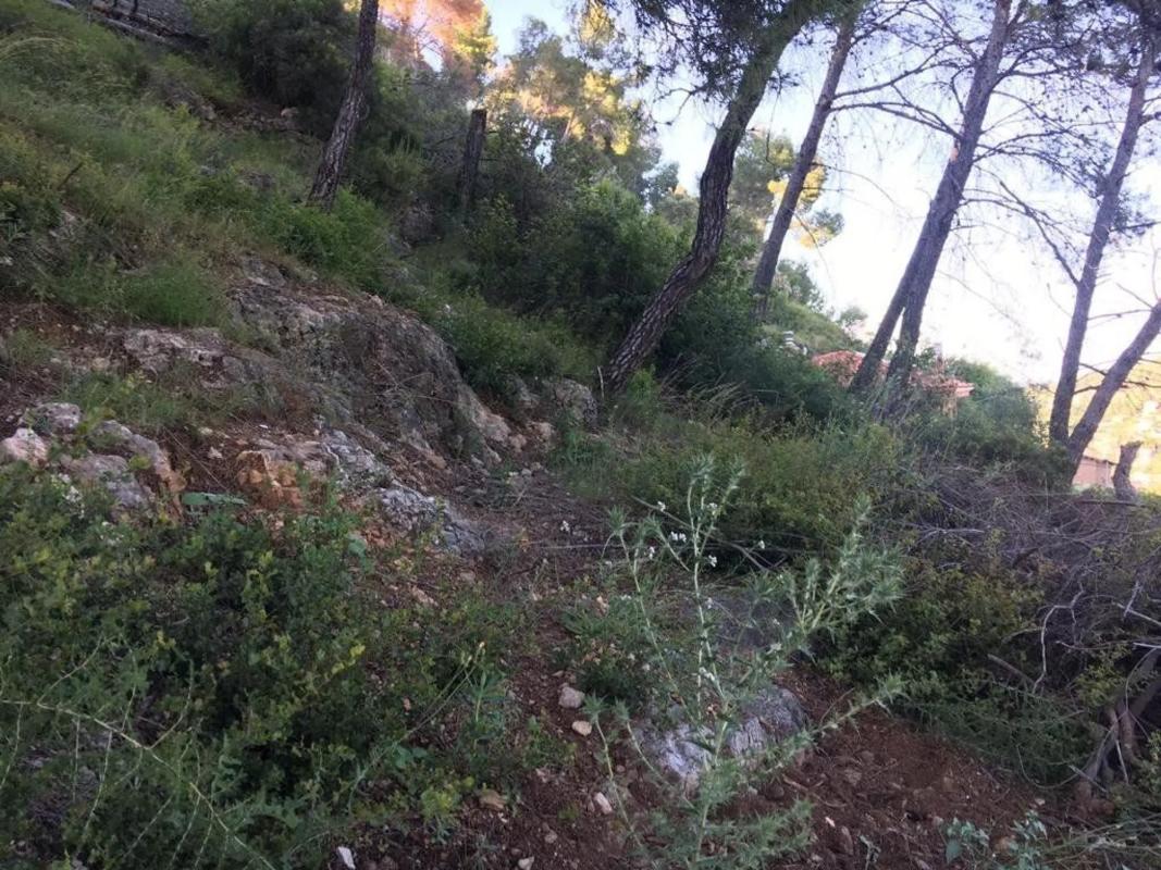 Land for sale in Vallirana, Barcelona photo 2