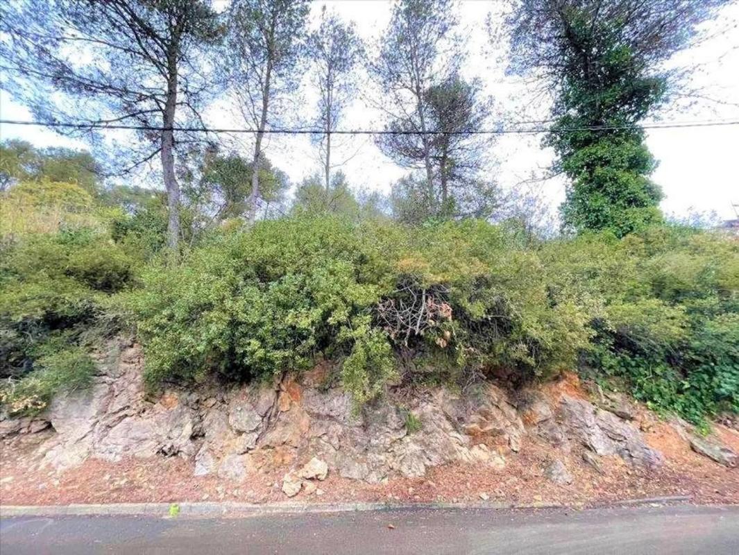 Участок земли на продажу в Вальриана, Барселона photo 3