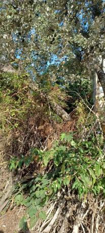 Terreno en calle del Mercadal, 6 photo 3