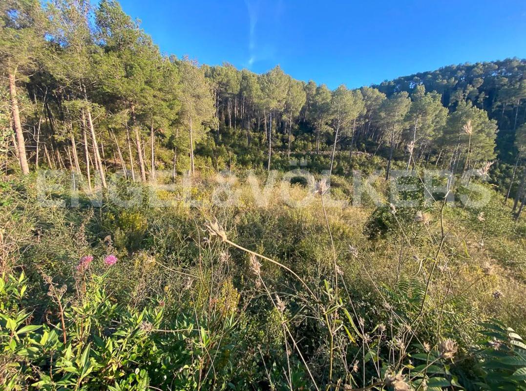 Участок земли на продажу в Вальриана, Барселона photo 1