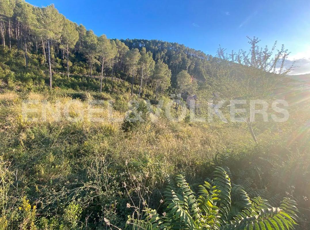 Участок земли на продажу в Вальриана, Барселона photo 4