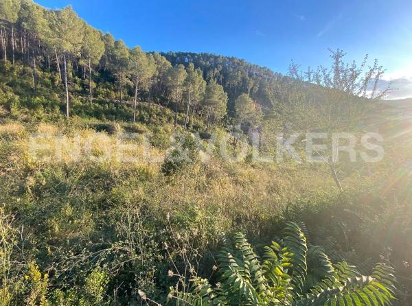 Terreno en Vallirana photo 4