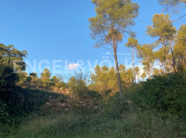 Terreno en Vallirana photo 1