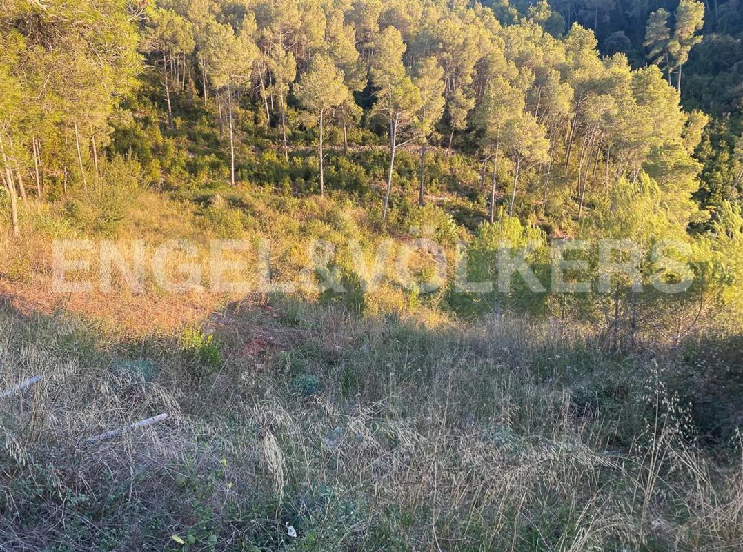 Land for sale in Vallirana, Barcelona photo 2
