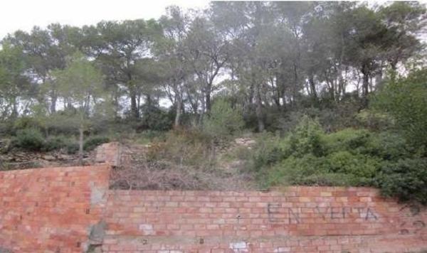 Terreno en avenida dels Païssos Catalans, 170 photo 2