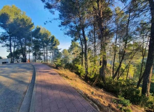 Terreno en avenida de Can Montmany photo 3