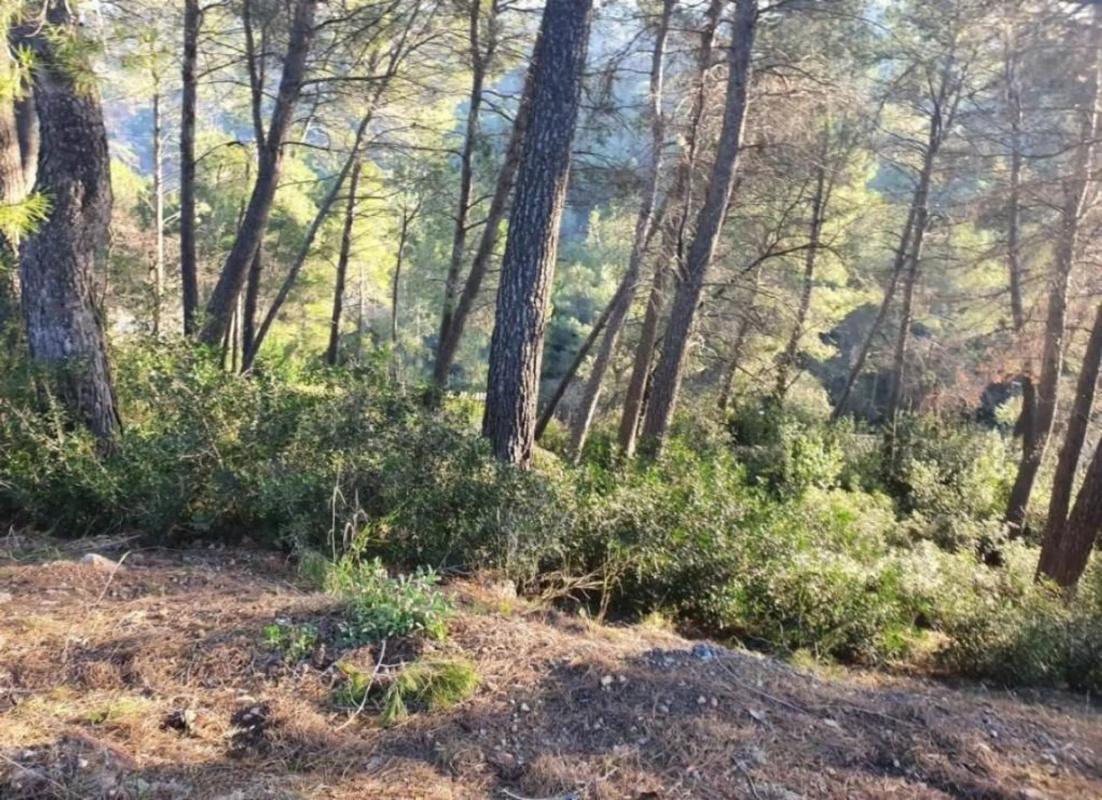 Działka na sprzedaż w Corbera de Llobregat, Barcelona photo 5