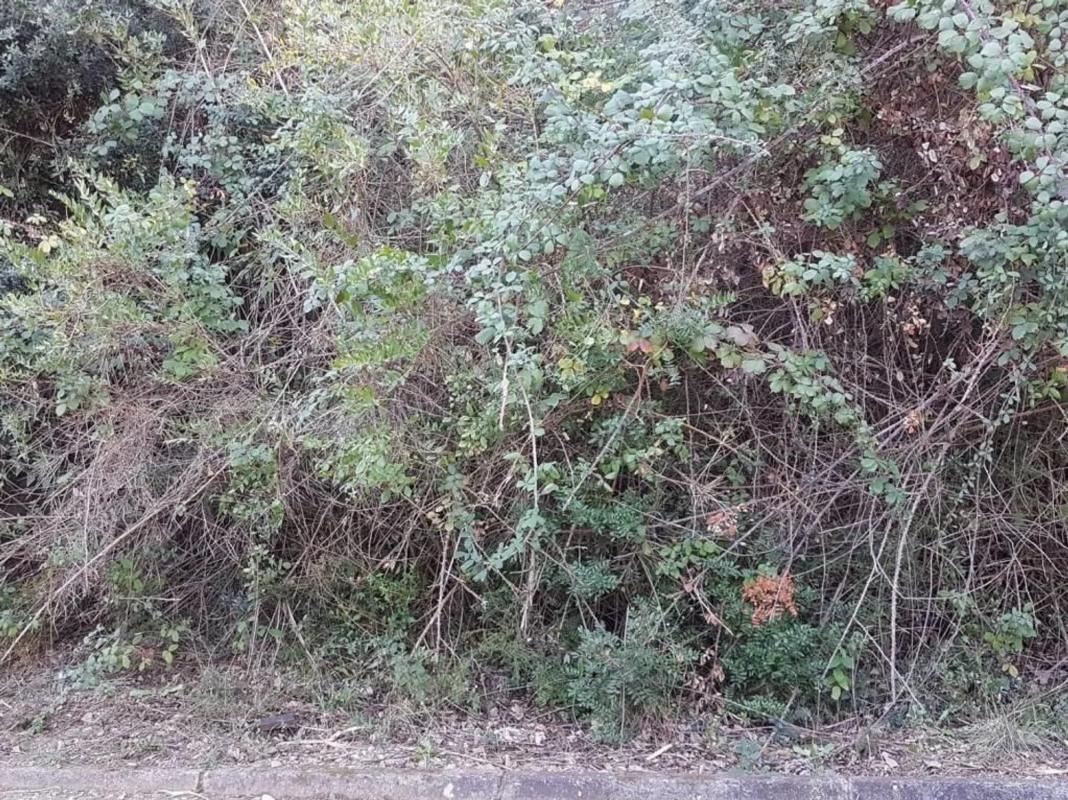 Land for sale in Esparreguera, Barcelona photo 4
