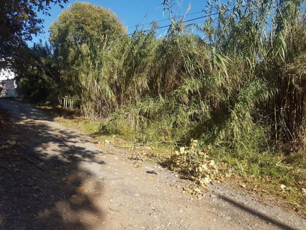 Terreno en venta en Martorell, Barcelona photo 3