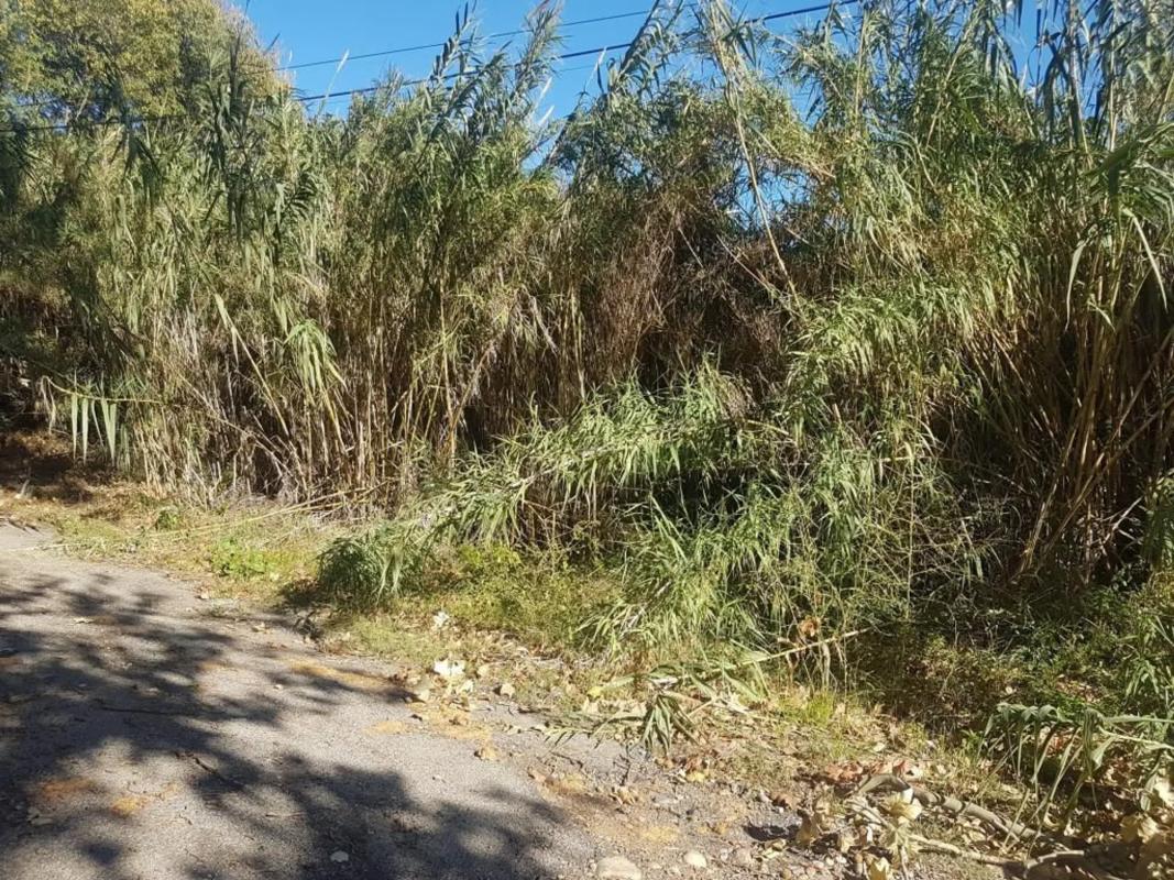 Terreno en venta en Martorell, Barcelona photo 4
