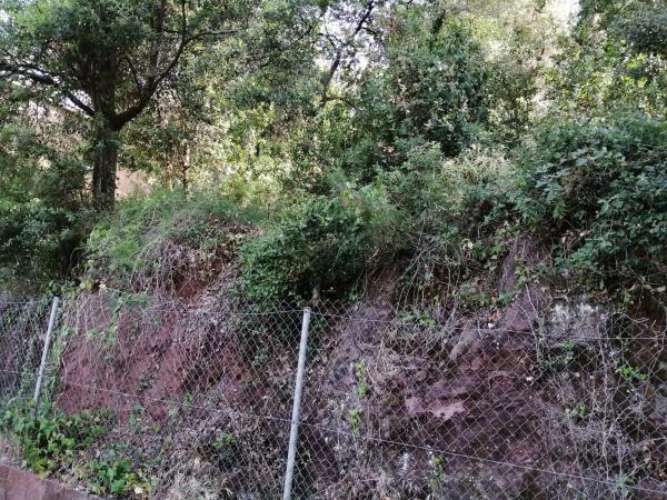 Terreno en calle del Xarel·lo, 14 photo 4
