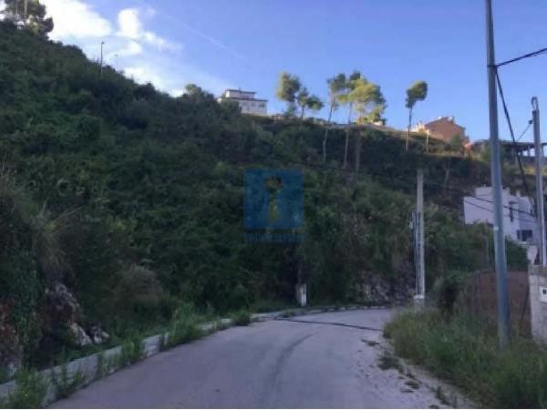 Terreno en calle Lourdes photo 3