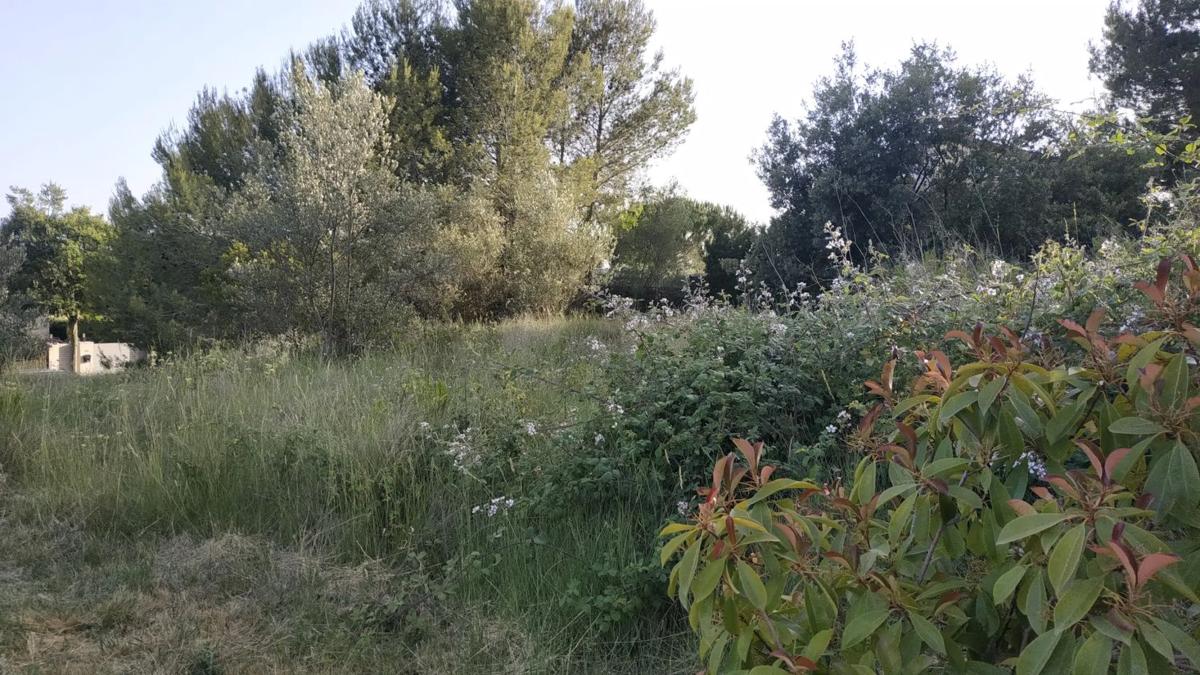 Terreno en venta en Collbató, Barcelona photo 2