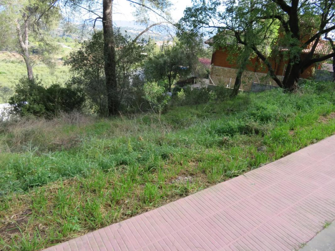 Działka na sprzedaż w Castellví de Rosanes, Barcelona photo 5