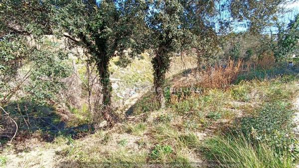 Terreno en Abrera photo 1