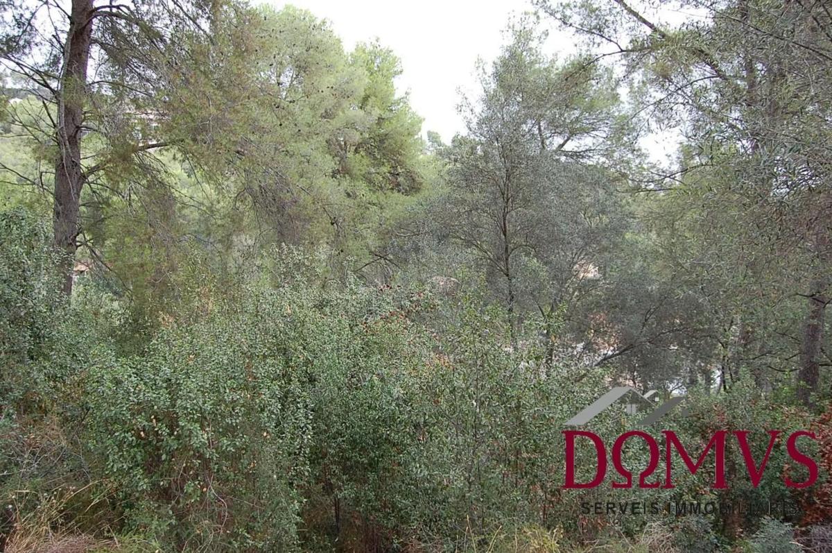 Terreno en venta en Cervelló, Barcelona photo 1
