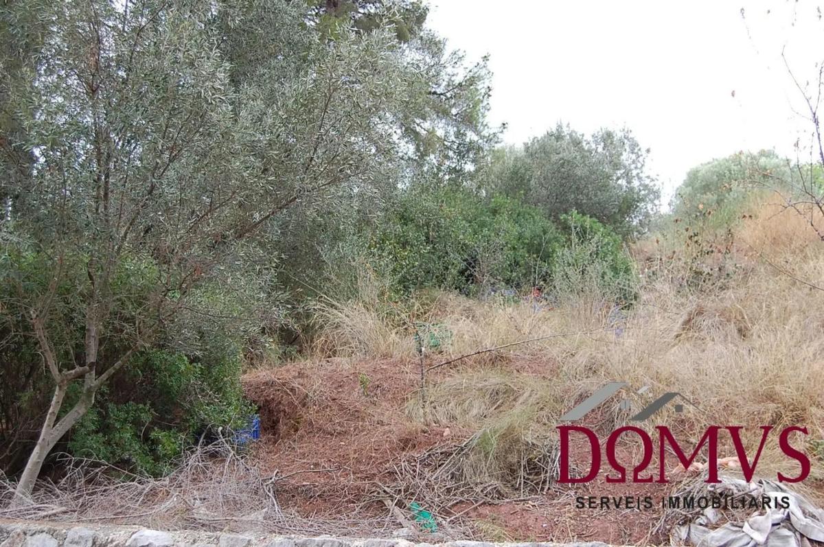 Terreno en venta en Cervelló, Barcelona photo 5