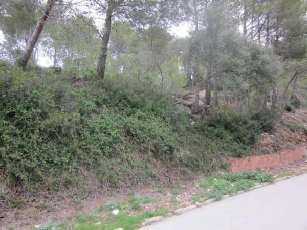 Terreno en Vallirana photo 4