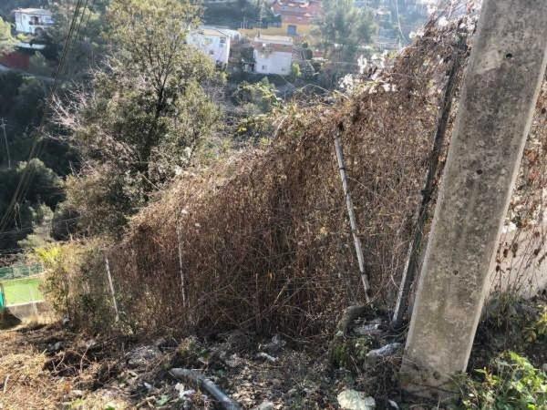 Terreno en Corbera de Llobregat photo 1