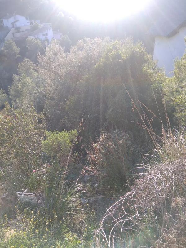 Terreno en venta en Vallirana, Barcelona photo 3