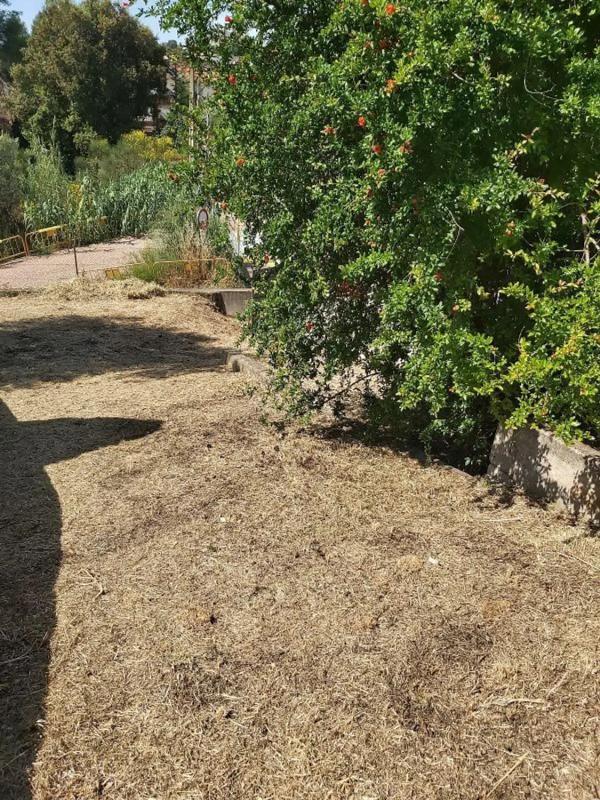 Terreno en venta en Sant esteve Sesrovires, Barcelona photo 5