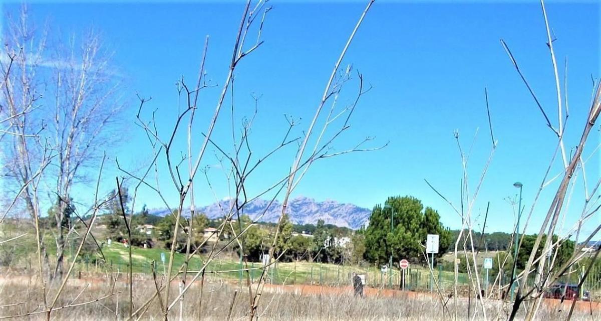Terreno en venta en Sant esteve Sesrovires, Barcelona photo 2