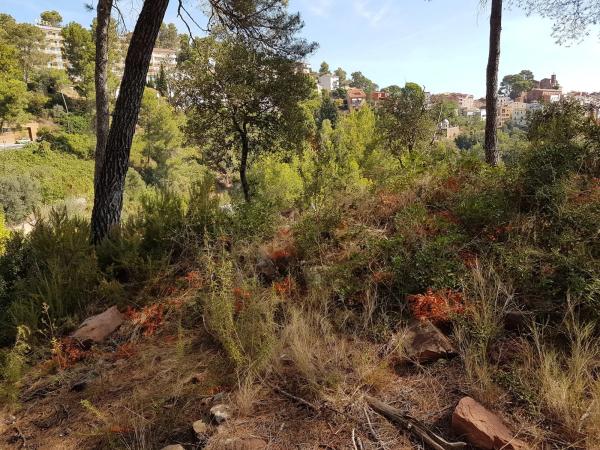 Terreno en calle Antic de Sant Ponç, 26 photo 1
