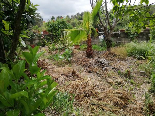 Terreno en Can Rial photo 1