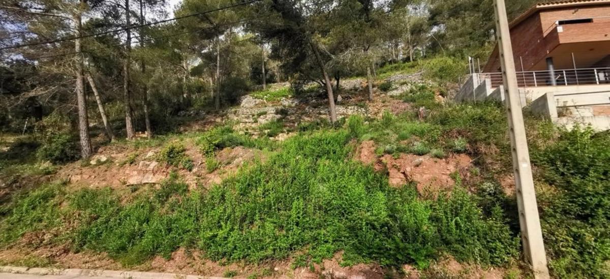 Terreno en venta en Cervelló, Barcelona photo 4