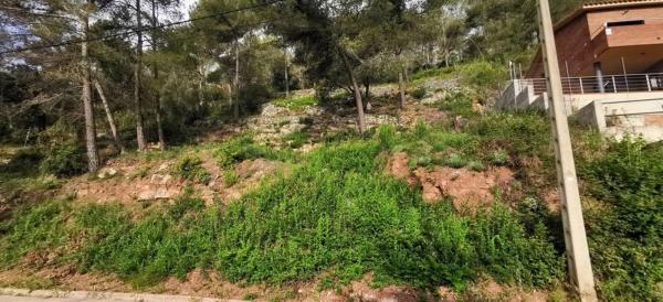 Terreno en calle Miramar, 27 photo 4