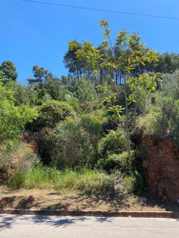 Terreno en venta en Vallirana, Barcelona photo 3