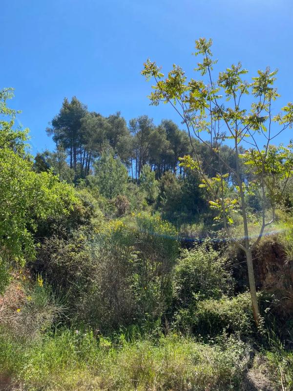 Terreno en venta en Vallirana, Barcelona photo 5