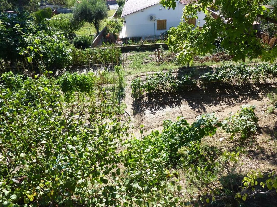 Land for sale in Esparreguera, Barcelona photo 1