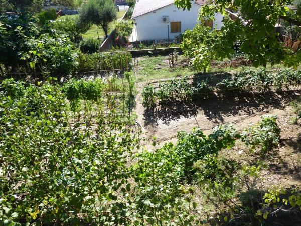 Terreno en calle del Doctor Pedro Pons, 4 photo 1