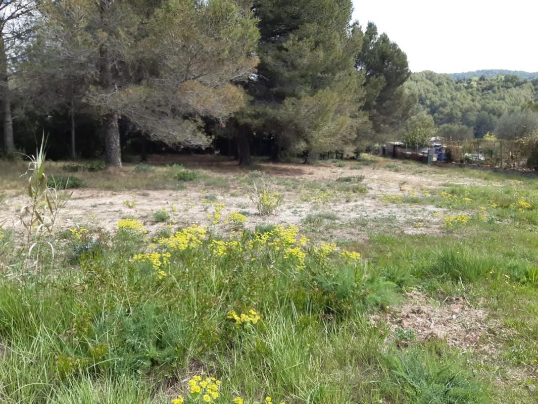 Terreno en venta en Olesa de Montserrat, Barcelona photo 3
