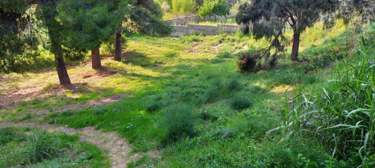 Terreno en venta en Esparreguera, Barcelona photo 4